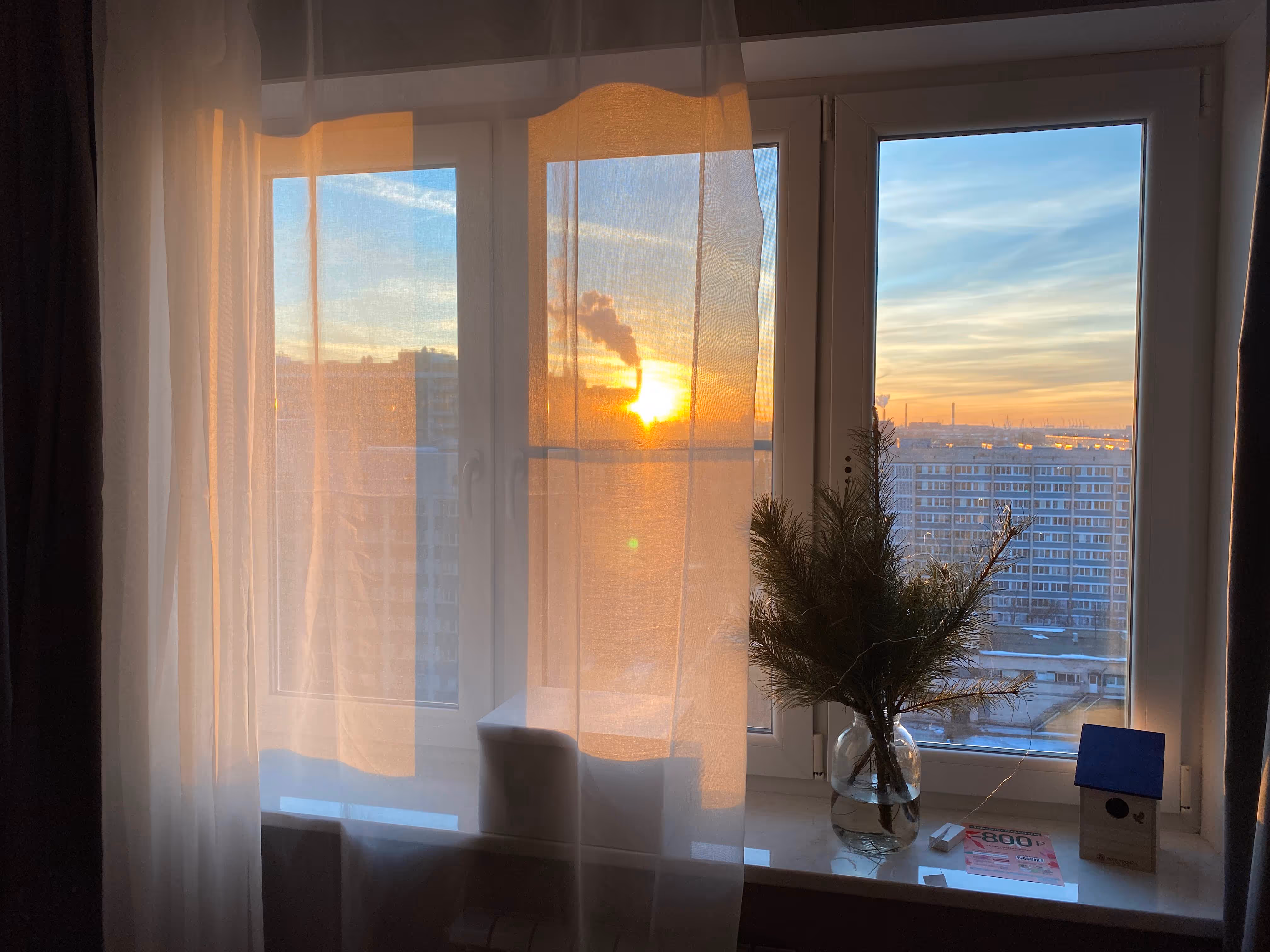 Вид из окна