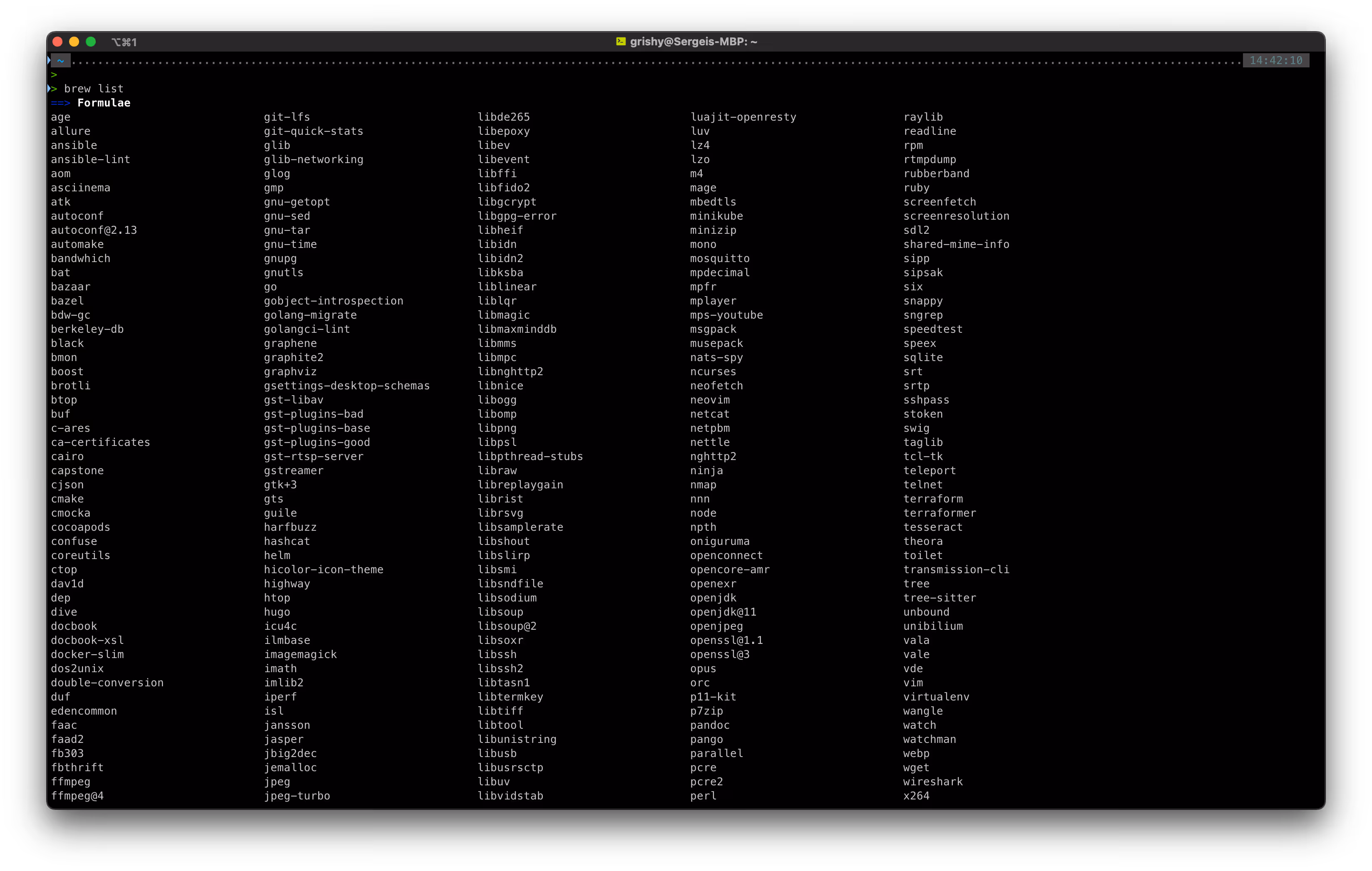 Вывод brew list