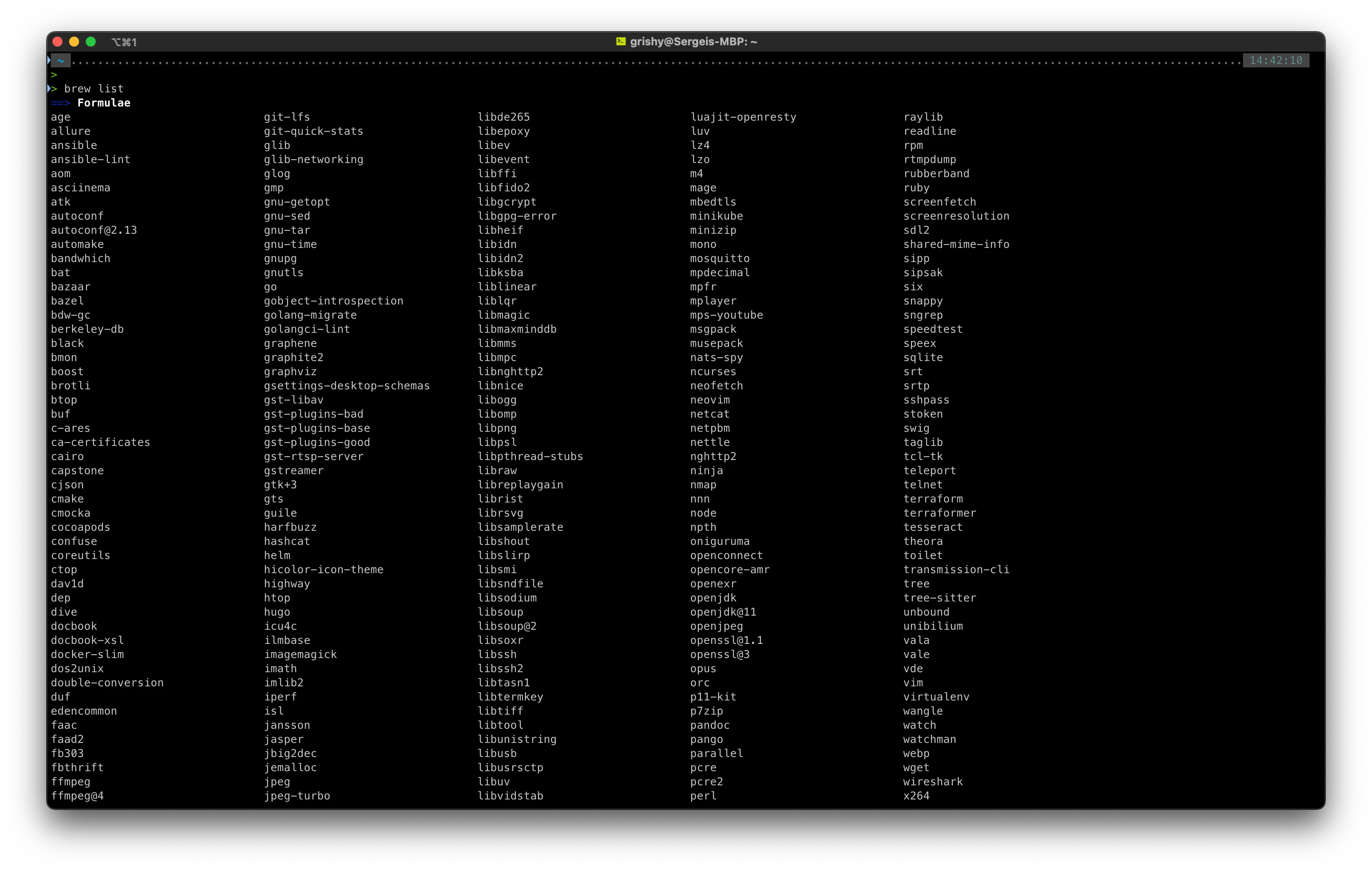 Вывод brew list