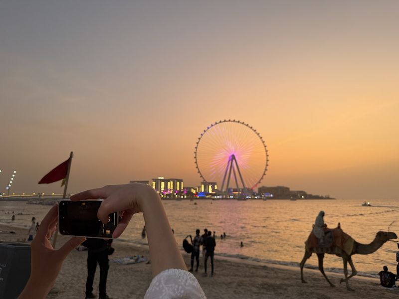 Dubai Camel Beach