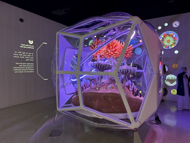 Dubai Museum Capsule