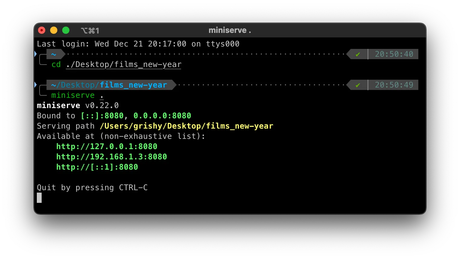 Вывод miniserve в терминале