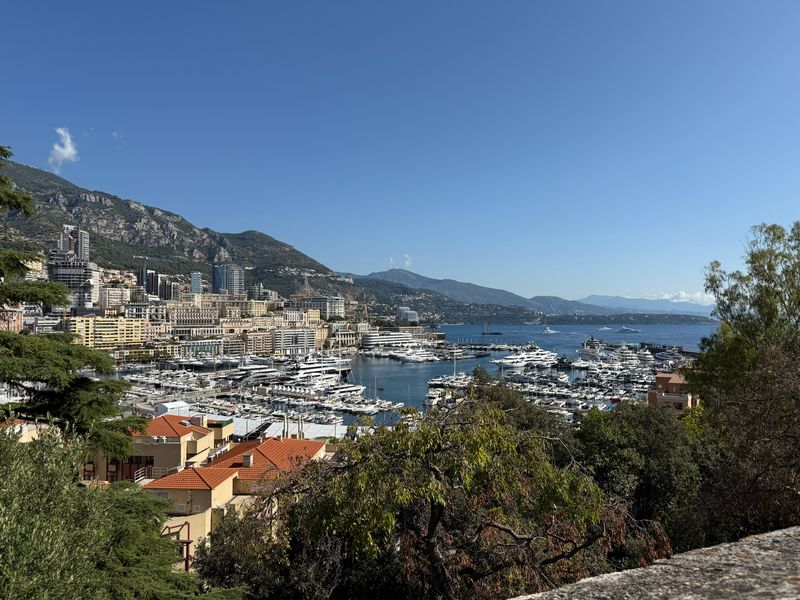 Monaco Port Panorama