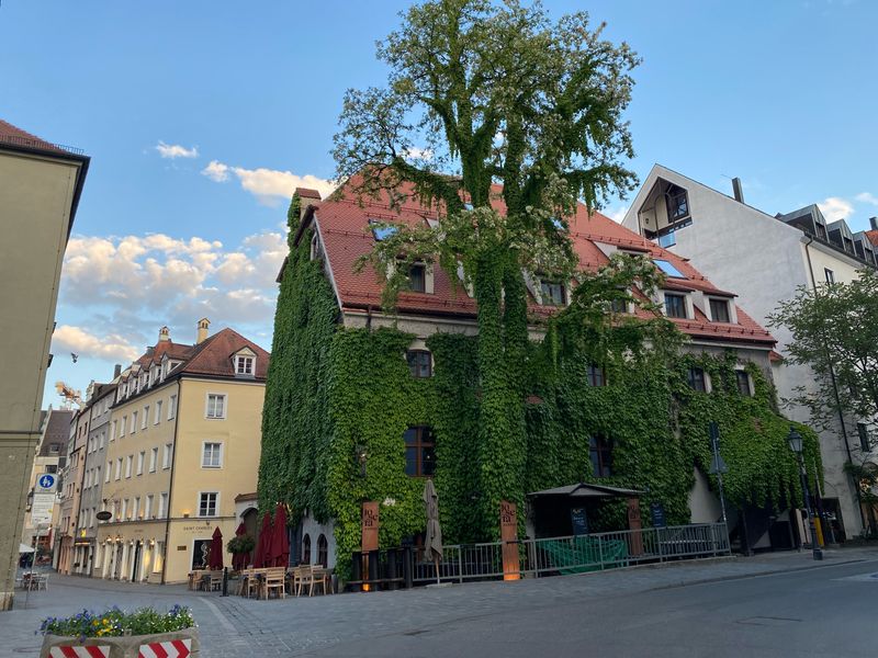 Munich Ivy Building
