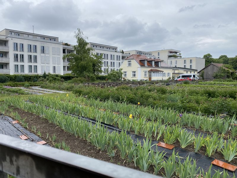 Munich Rooftop Garden