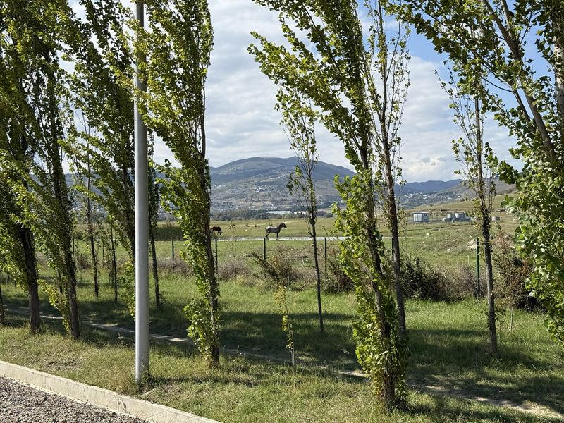 Tbilisi Poplar Field