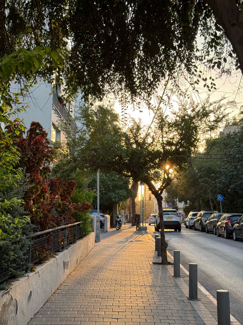 Tel Aviv Green Street